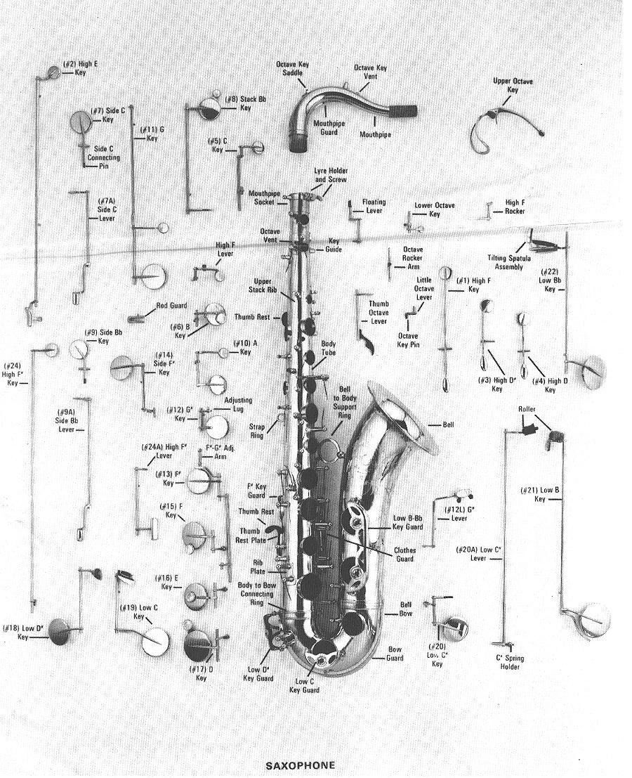 Antigua Winds WW-510 S Alto Saxophone Replacement Parts